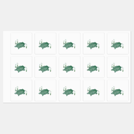 Groene zeeschildpad labels (Vel)