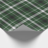 Groene zilvervis cadeaupapier (Hoek)