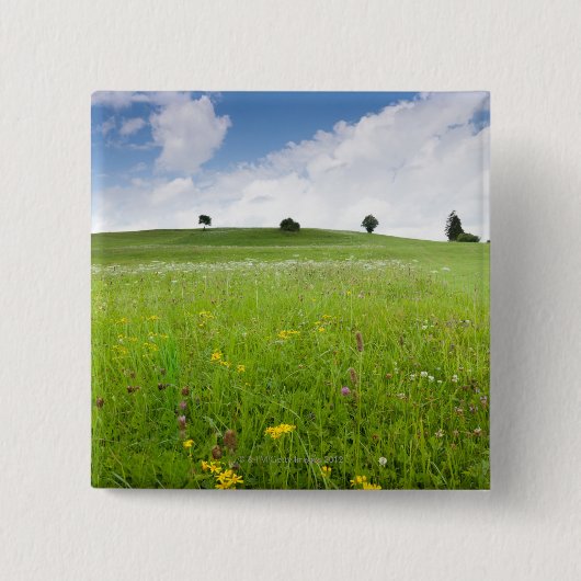 groene zomerweiden in beieren , ostallg - sostallg vierkante button 5,1 cm (Voorkant)