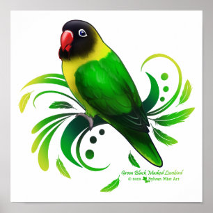 Groene zwarte Maskaap Poster