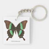 Groene Zwemstaartvlinder Sleutelhanger (Achterkant)