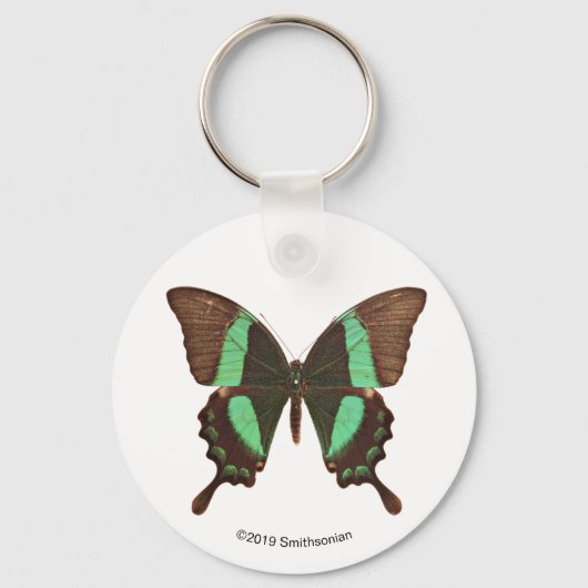 Groene Zwemstaartvlinder Sleutelhanger (Voorkant)