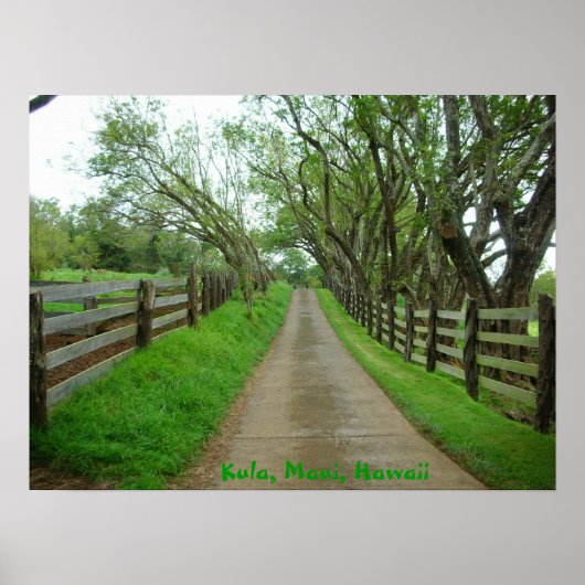 Groenere deegwaren poster (Voorkant)