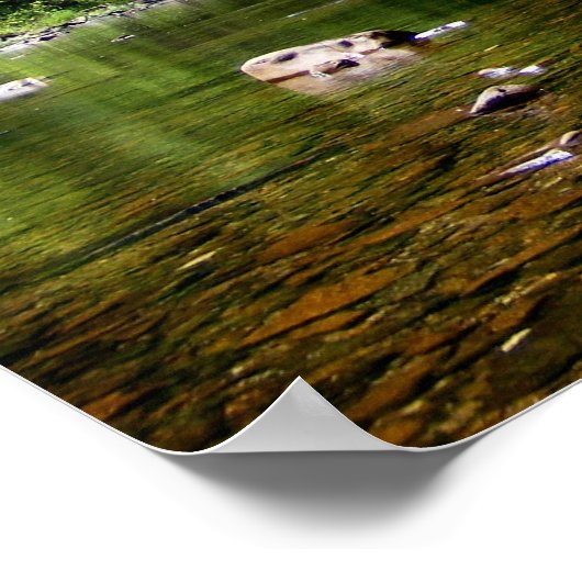 Groenere rivier, WV Poster (Hoek)