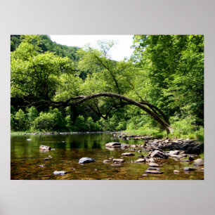 Groenere rivier, WV Poster