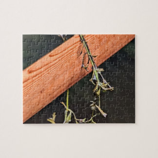Groenland Paddle Puzzel