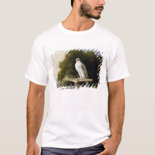 Groenlandse valk (grijze valk), 1780 (olie op het t-shirt