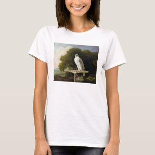 Groenlandse valk (grijze valk), 1780 (olie op het t-shirt