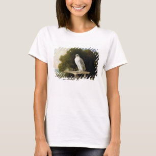 Groenlandse valk (grijze valk), 1780 (olie op het t-shirt