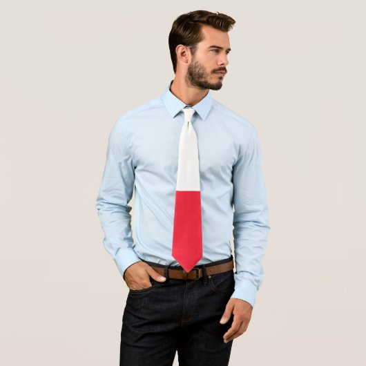 Groenlandse vlag stropdas (In situ)