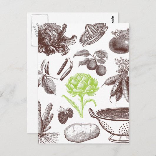 groenmarkt briefkaart (Voorkant / Achterkant)