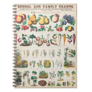 Groente botanische poster notitieboek