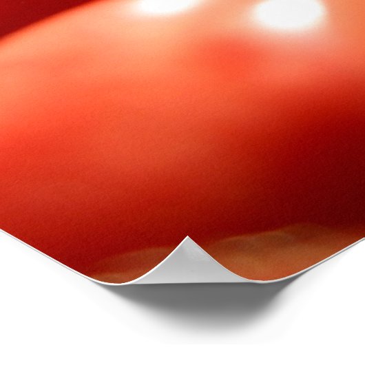 Groente Oogst Poster (Hoek)