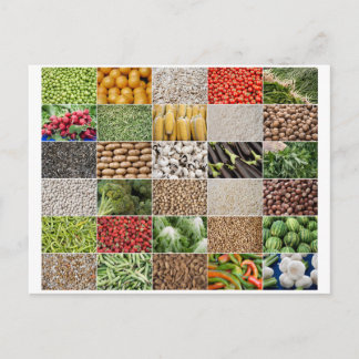 Groenten en fruit briefkaart