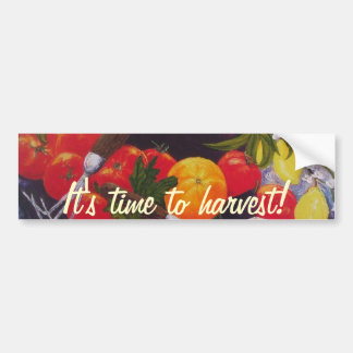 groenten en fruit Medley Bumpersticker