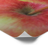 Groenten en fruit poster (Hoek)