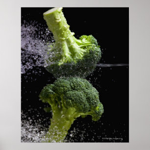 Groenten en voedingsmiddelen, vers poster