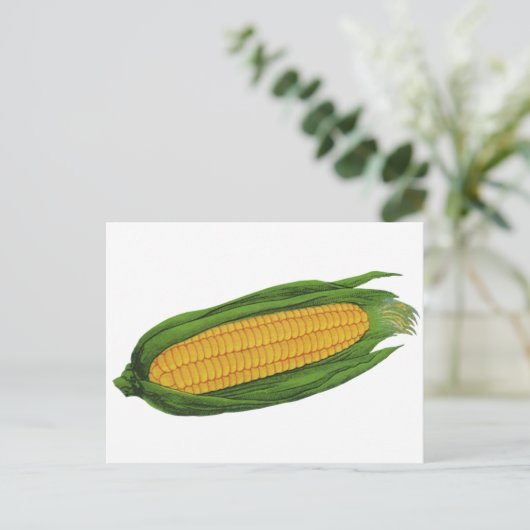 groenten; geelhoorn op de krab briefkaart (Staand voorkant)