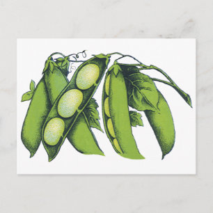  groenten; limabonen, biologisch Boerderij Briefkaart