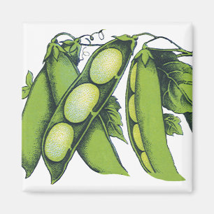  groenten; limabonen, biologisch Boerderij Magneet