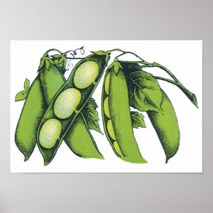  groenten; limabonen, biologisch Boerderij Poster