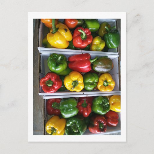 Groenten op de Amish-markt Briefkaart (Voorkant)