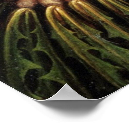 Groenten Poster (Hoek)