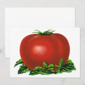  groenten, rode ripe tomaat kaart (Voorkant / Achterkant)