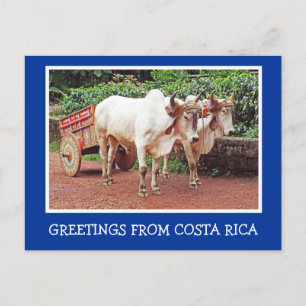 GROENTEN VAN COSTA RICA/OXCART EN OXEN BRIEFKAART