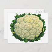  groenten Veggies bloemkool Briefkaart (Voorkant / Achterkant)