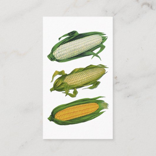  groenten Witte korn op de krab Visitekaartje (Achterkant)