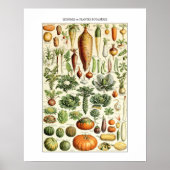 groenteschema Adolphe Millot Poster (Voorkant)