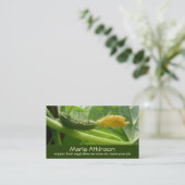groenvoeder plantaardig visitekaartje (Staand voorkant)