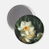 groep1 054 Narcissus Magneet (Voorkant / Achterkant)