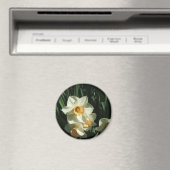 groep1 054 Narcissus Magneet (Insitu (Vaatwasser))