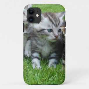Groep adorable katjes. iPhone 11 hoesje