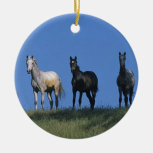 Groep Arabieren Keramisch Ornament