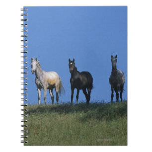 Groep Arabieren Notitieboek