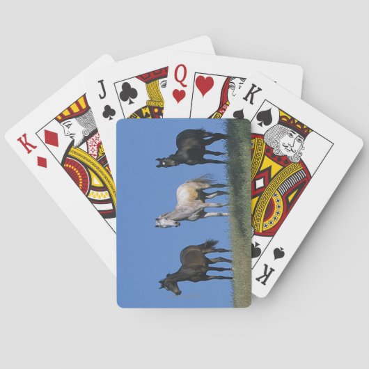 Groep Arabieren Speelkaarten (Achterkant)