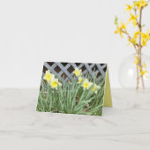 Groep Daffodils Kaart (Gele Bloem)