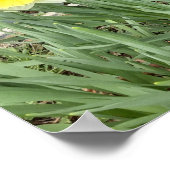 Groep Daffodils Poster (Hoek)