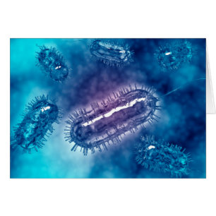 Groep Escherichia coli bacteriecellen 1