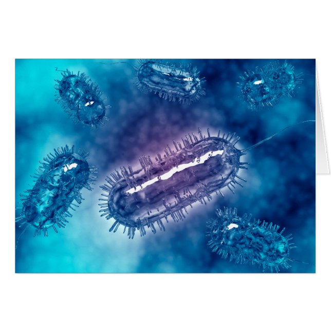 Groep Escherichia coli bacteriecellen 1 (Voorkant Horizontaal)