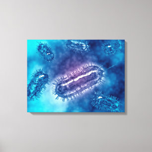 Groep Escherichia coli bacteriecellen 1 Canvas Afdruk