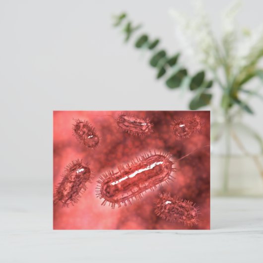 Groep Escherichia coli bacteriecellen 2 Briefkaart (Staand voorkant)