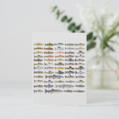 Groep forel, char, grijs, Hucho en Whitefish Briefkaart (Staand voorkant)