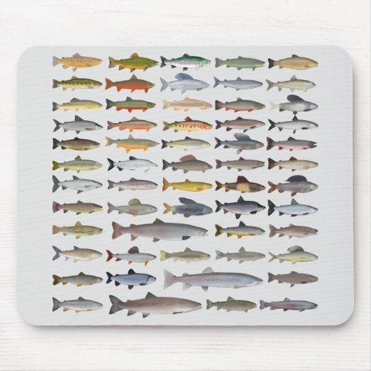 Groep forel, char, grijs, Hucho en Whitefish Muismat (Voorkant)