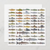 Groep forel, char, grijs, Hucho en Whitefish Notitiekaartje (Voorkant / Achterkant)