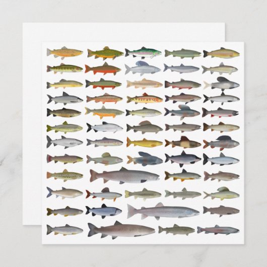 Groep forel, char, grijs, Hucho en Whitefish Notitiekaartje (Voorkant / Achterkant)