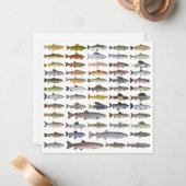 Groep forel, char, grijs, Hucho en Whitefish Notitiekaartje (Voorkant / Achterkant in situ)